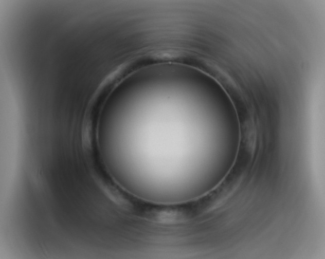 X0000115280400200911061332