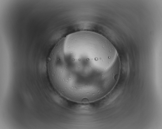 X0000115280401200911061332