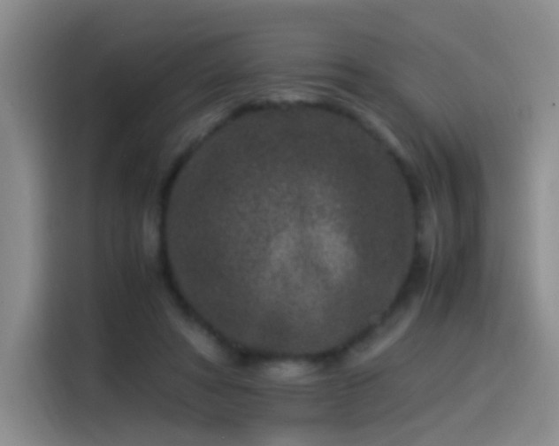 X0000115280402200911061332