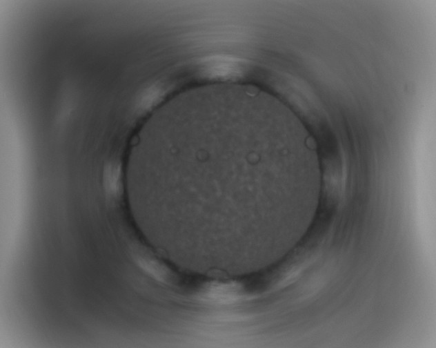 X0000115280403200911061332