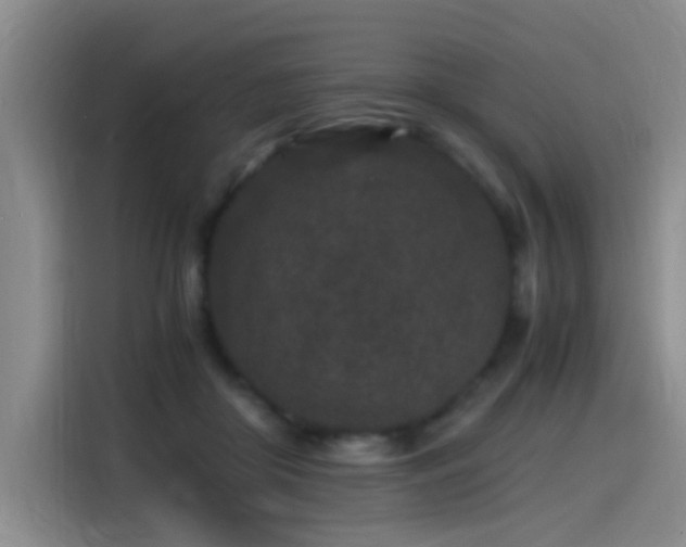 X0000115280410200911061332