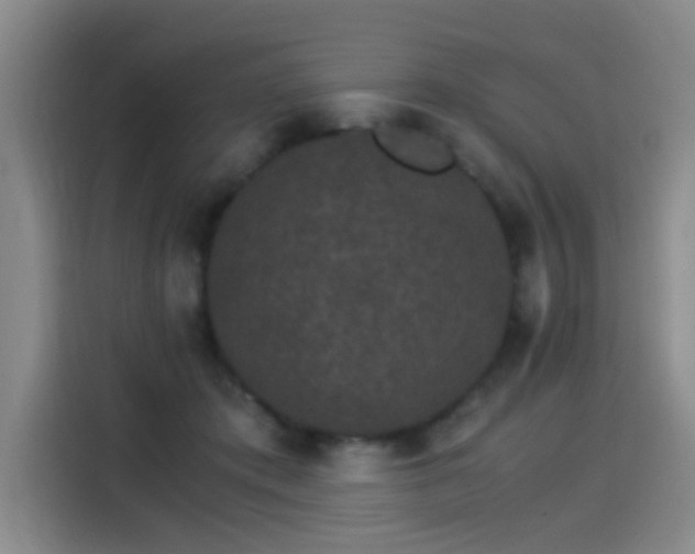 X0000115280413200911061332