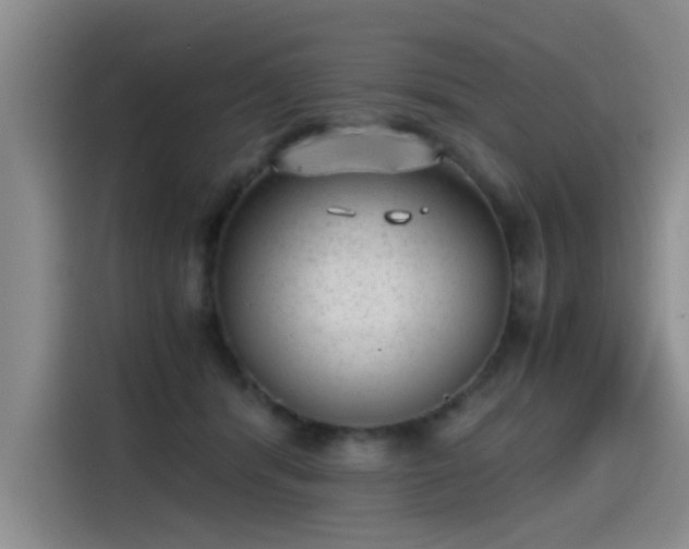 X0000115280416200911061332