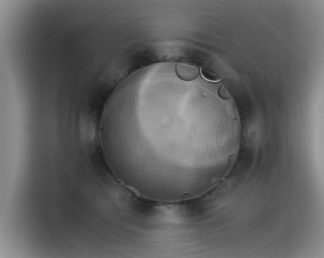 X0000115280417200911061332