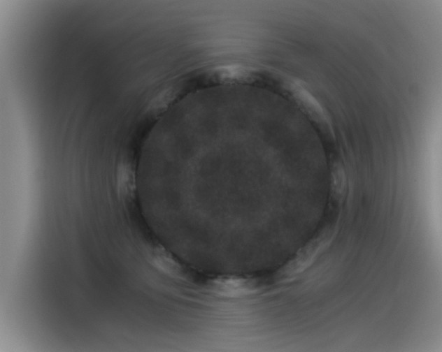X0000115280419200911061332