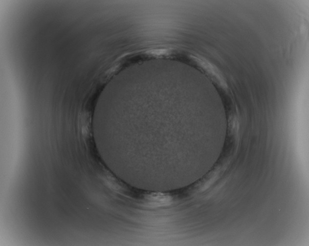X0000115280421200911061332