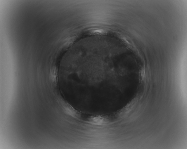 X0000115280423200911061332