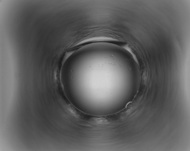 X0000115280424200911061332