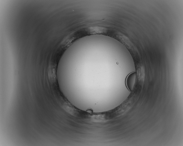 X0000115280426200911061332