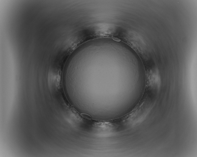 X0000115280427200911061332