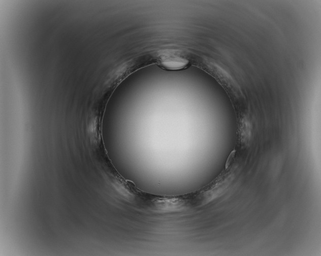 X0000115280428200911061332