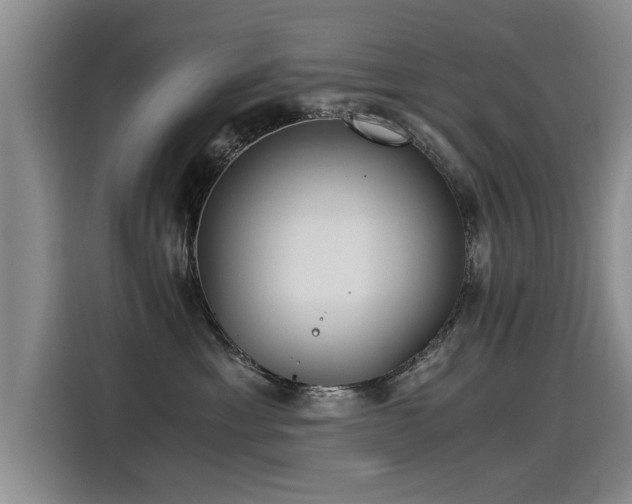 X0000115280429200911061332