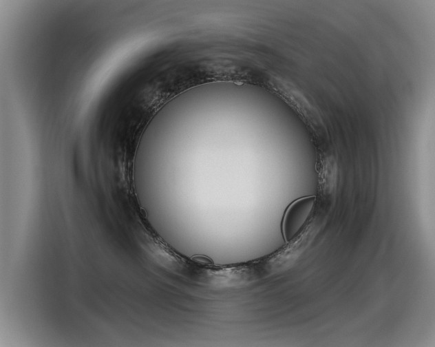 X0000115280430200911061332