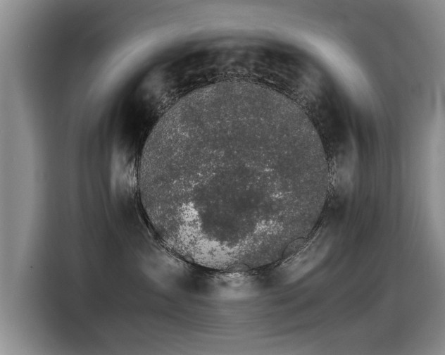 X0000115280431200911061332