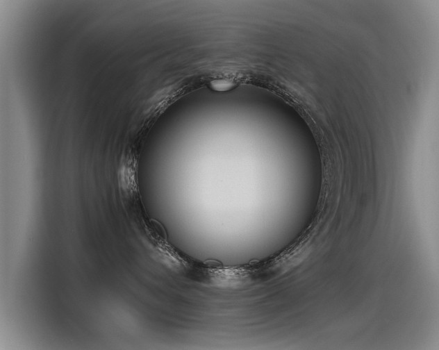X0000115280432200911061332