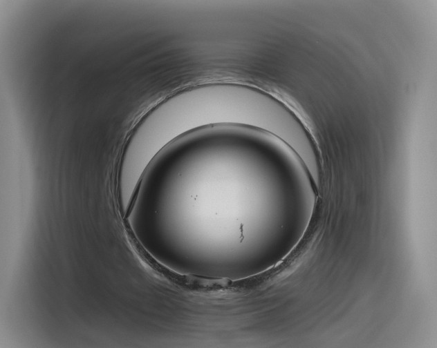 X0000115280433200911061331