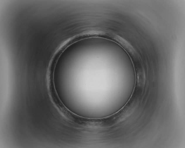 X0000115280436200911061331