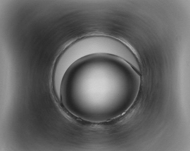 X0000115280437200911061331