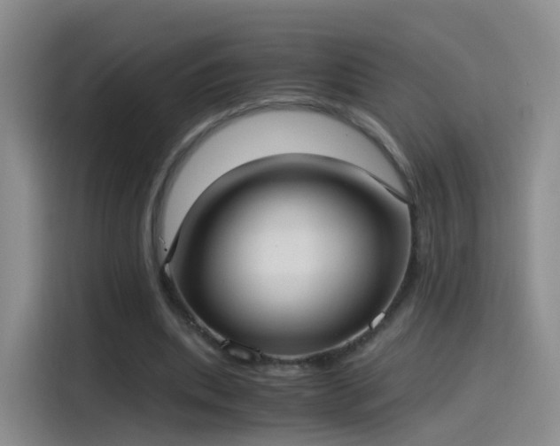 X0000115280439200911061331