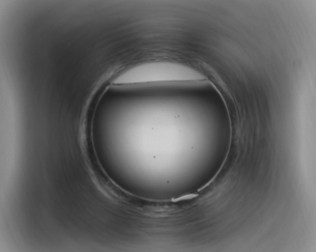 X0000115280443200911061331