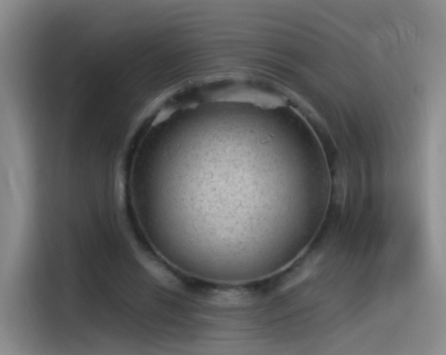 X0000115280446200911061331