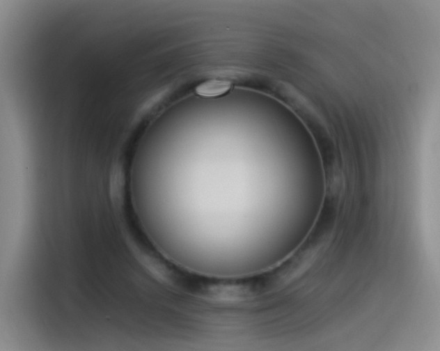 X0000115280448200911061331