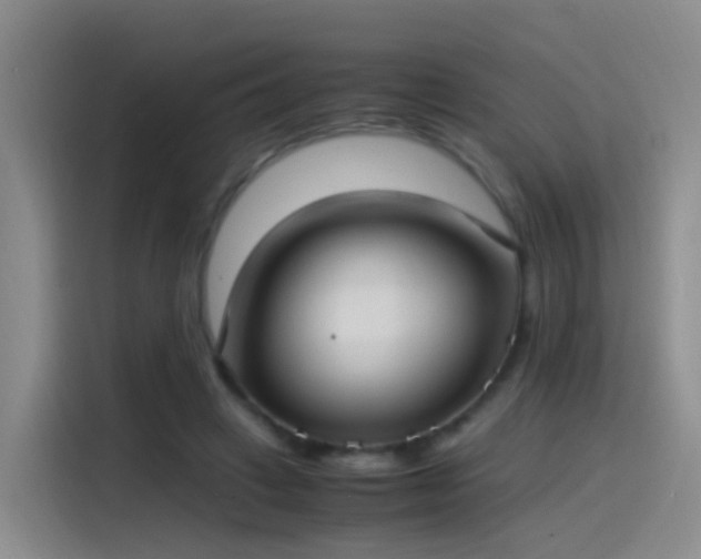 X0000115280449200911061331