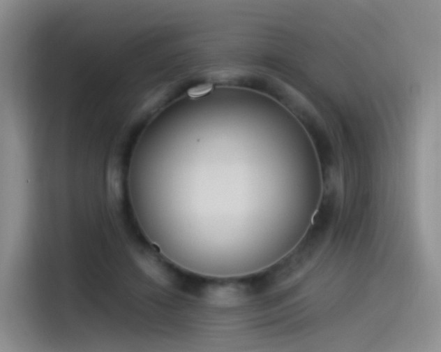 X0000115280452200911061331
