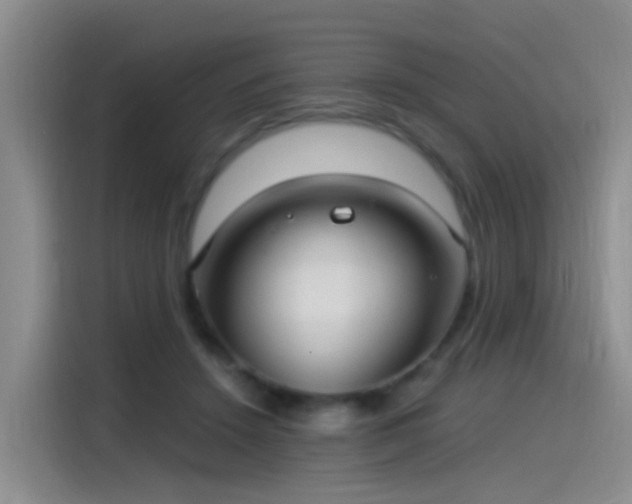 X0000115280456200911061331