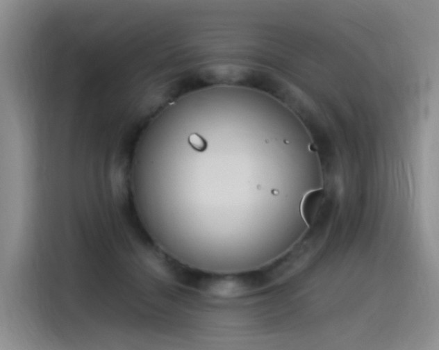 X0000115280460200911061331