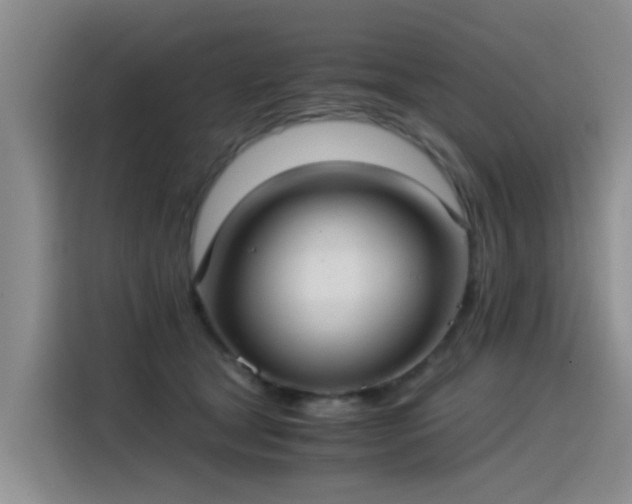 X0000115280465200911061331