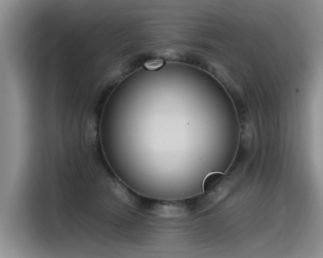 X0000115280466200911061331