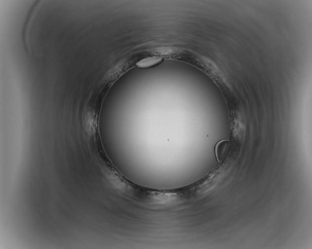 X0000115280476200911061332