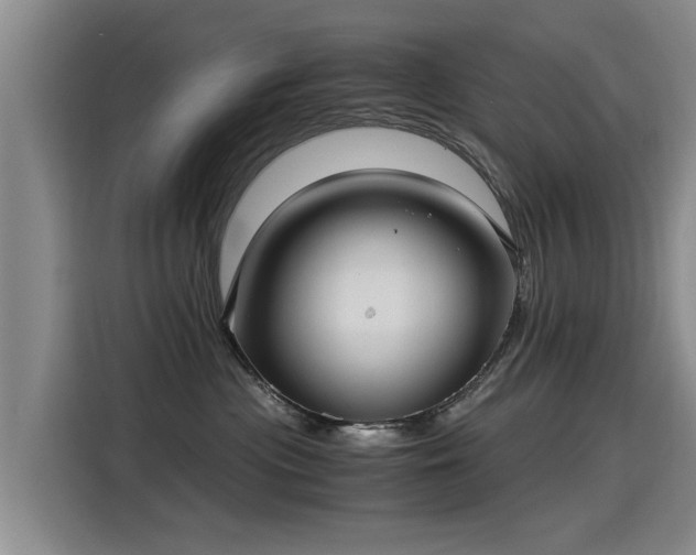 X0000115280477200911061332