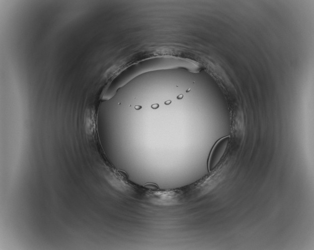 X0000115280478200911061332