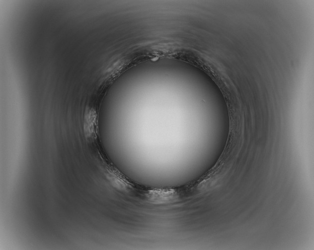 X0000115280480200911061332