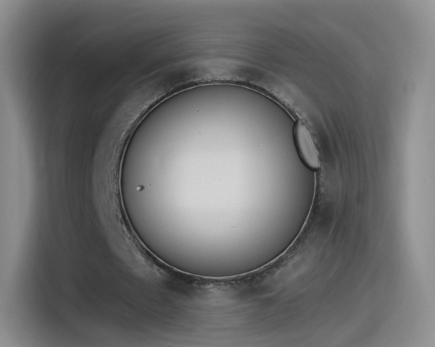 X0000115280481200911061331