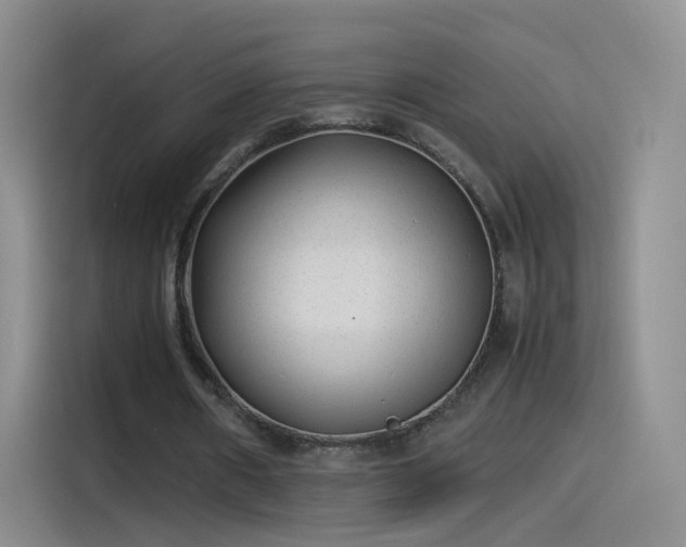 X0000115280482200911061331