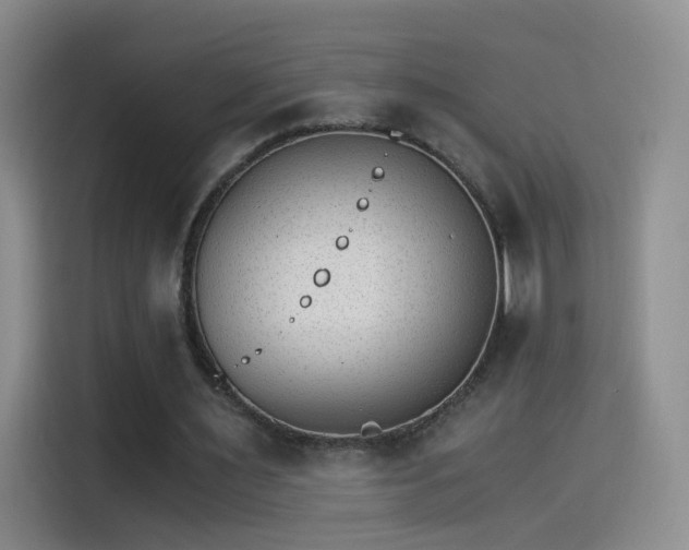 X0000115280483200911061331