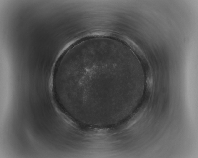 X0000115280484200911061331