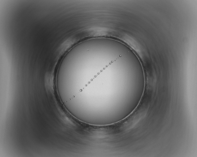 X0000115280485200911061331