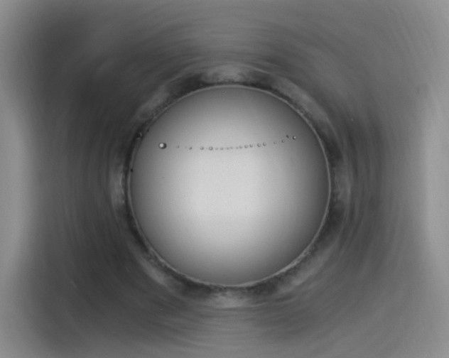 X0000115280489200911061331