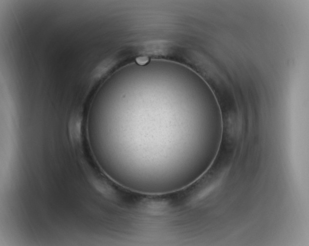 X0000115280491200911061331