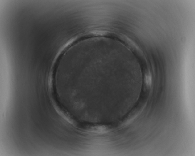 X0000115280492200911061331