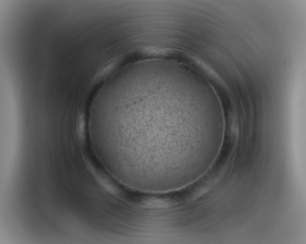 X0000115280494200911061331