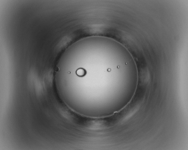 X0000115280495200911061331