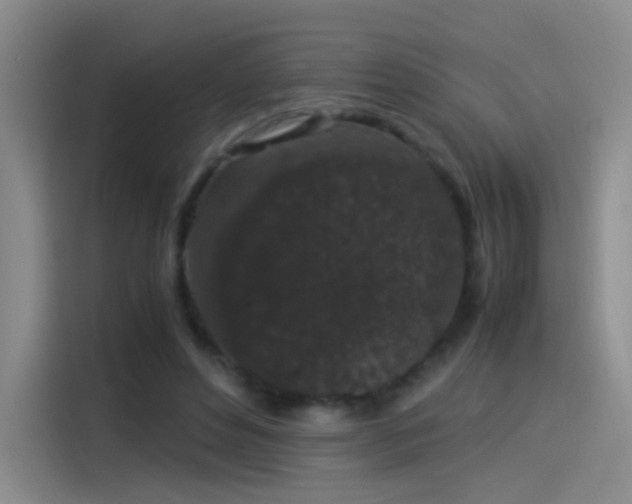 X0000115280496200911061331