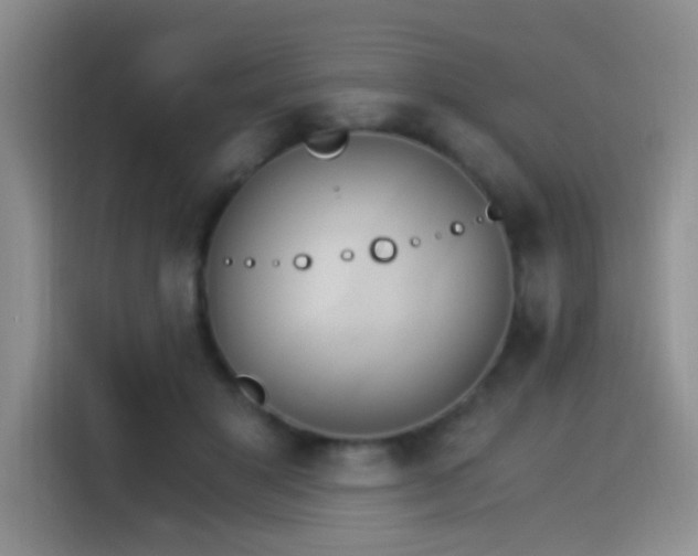 X0000115280501200911061331