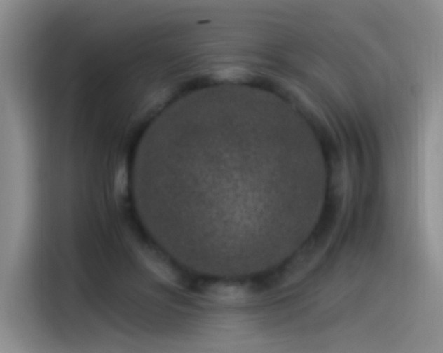X0000115280502200911061331