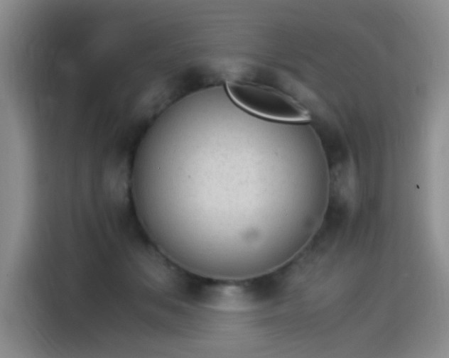 X0000115280509200911061331